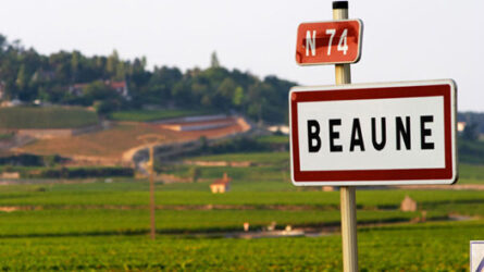 Run WFMC à Beaune