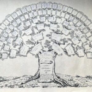 Run en Dordogne du 25 mai au 1 juin 2024